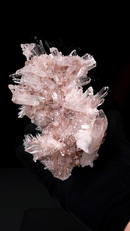 ピンクレムリアンクォーツクラスター AAAコレクター標本（ロット：P-1371）