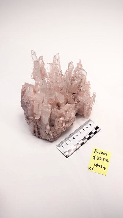PINK LEMURIAN QUARTZ CLUSTER LARGE SIZE (P-1451) 1,892 G X1 | WHOLESALE LOT
