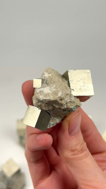 Cubic Pyrite on Matrix (Limestone), Navajun Spain Extra High Quality (PY-129) 522g x9