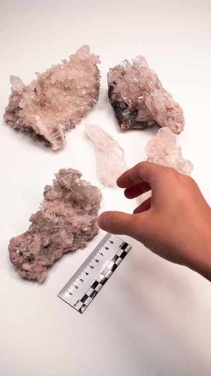 PINK LEMURIAN QUARTZ CLUSTERS MEDIUM SIZE (P-1445) 2,377 G X5 | WHOLESALE LOT