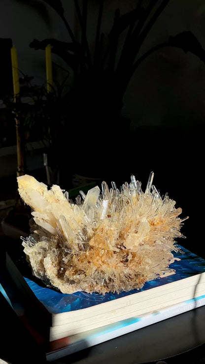 ゴールデンヒーラーニードル レムリアンクォーツクラスター 卸売 (ロット: LC-247)