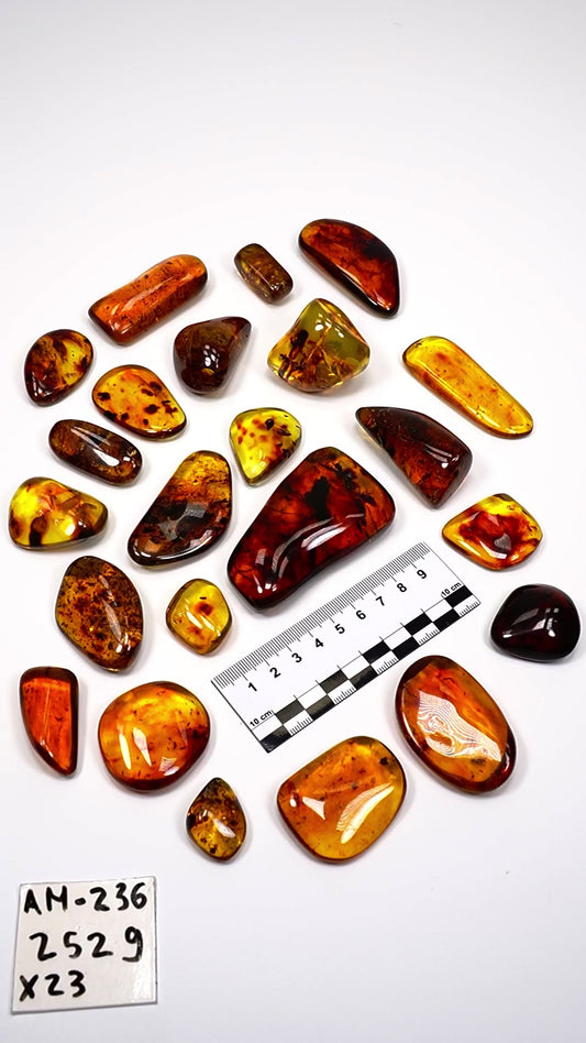 Hand Polished Amber WHOLESALE x23 pieces (AM-236)