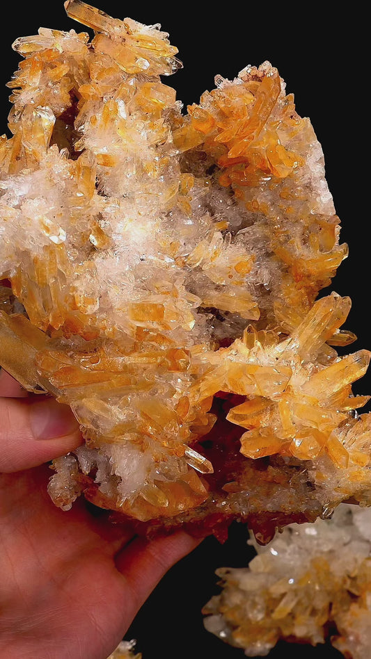 Golden Pink Lemurian Quartz Clusters | (Lot: LC-3044) | 2875g x8 | Wholesale Lot | Mixed Size