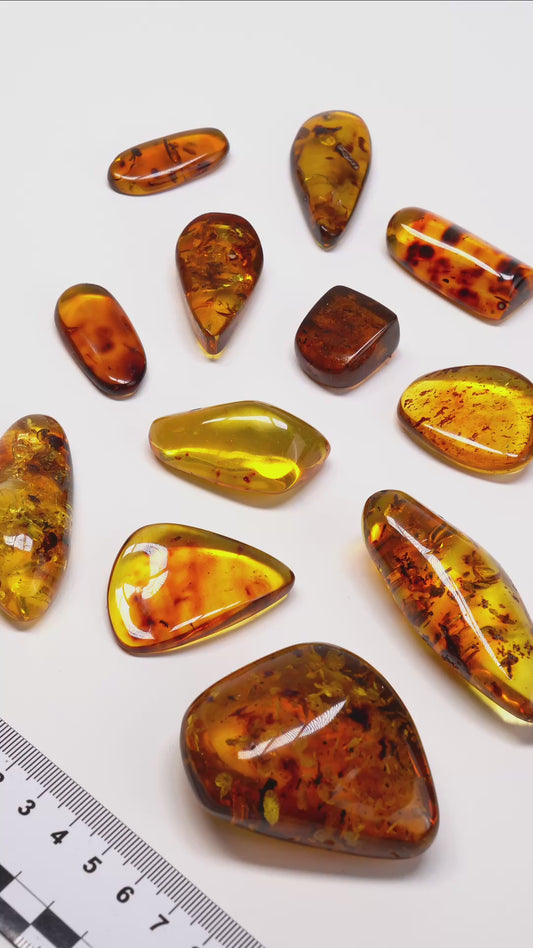 COLOMBIAN AMBER (AM-3018) | WHOLESALE LOT | SMALL SIZE 135g x12
