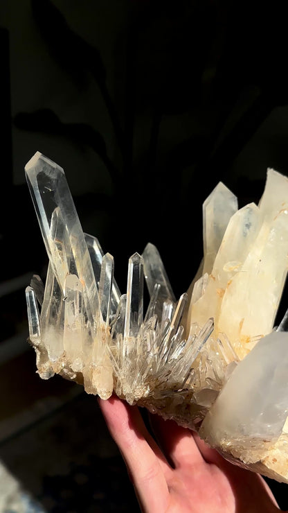 Extra Rare! DNA Needle Starburst Elestial Golden Healer Blue Smoke Lemurian Quartz Cluster Collector Specimen (Lot: LC-248) 1,480g x1