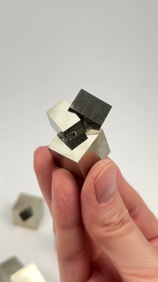 Cubic Pyrite Intergrown formations, Navajun Spain Extra High Quality (PY-1119)