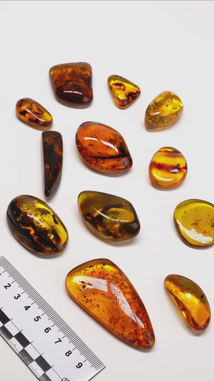 COLOMBIAN AMBER (AM-3017) | WHOLESALE LOT | SMALL SIZE 130g x12