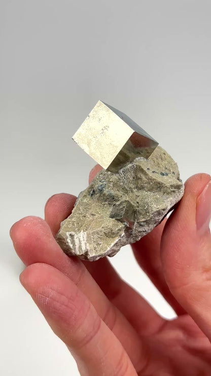 Cubic Pyrite on Matrix (Limestone), Navajun Spain Extra High Quality (PY-129) 522g x9