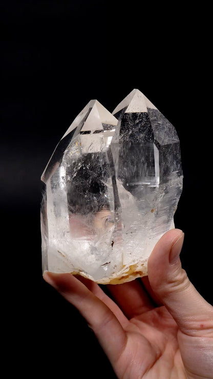 タントリックツイン、チゼルエンド、タイムリンクウィンドウ付きコレクター標本（ロット：CO-283）651g