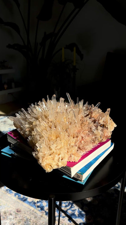 ゴールデンヒーラーニードル レムリアンクォーツクラスター 卸売 (ロット: LC-254)