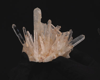 ゴールデンヒーラー ブルースモークニードル レムリアンクォーツクラスター (LC-425)