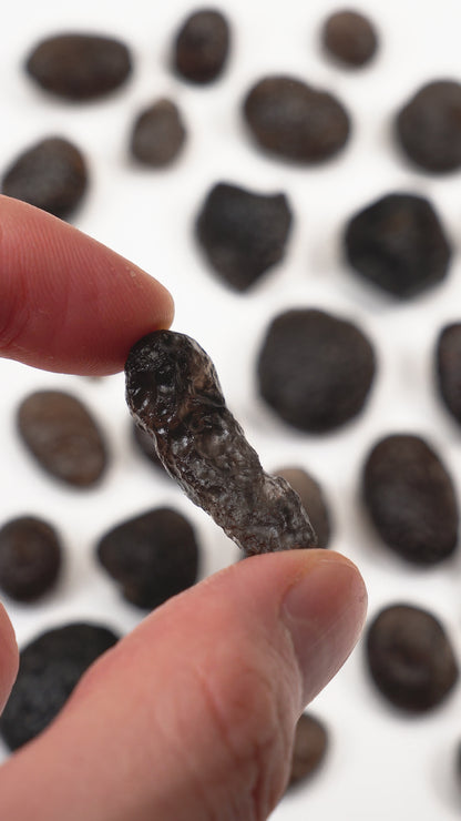 COLOMBIANITE TEKTITE MUSEUM QUALITY (CT-113) 117G X23 PIECES | WHOLESALE LOT