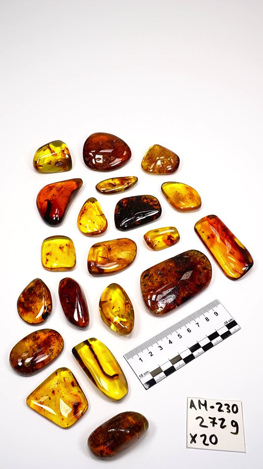 Hand Polished Amber WHOLESALE x20 pieces (AM-230)