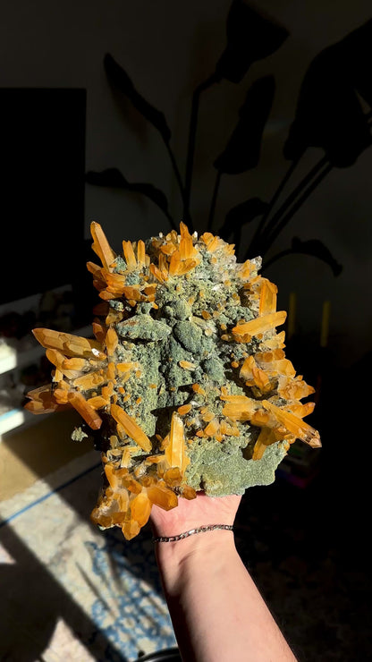 超レア！ゴールデンヒーラーグリーンレムリアンクォーツクラスターコレクター標本（ロット：CO-258）