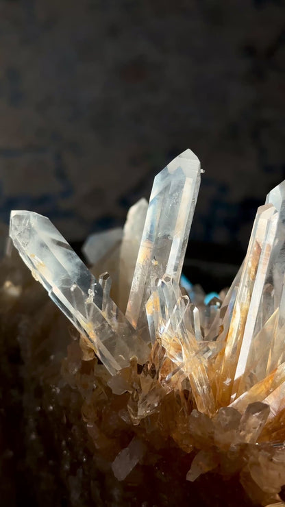 Extra rare! Starburst Golden Healer Needle Lemurian Quartz Cluster Collector Specimen with Elestial side (Lot: LC-244) 7570g x1