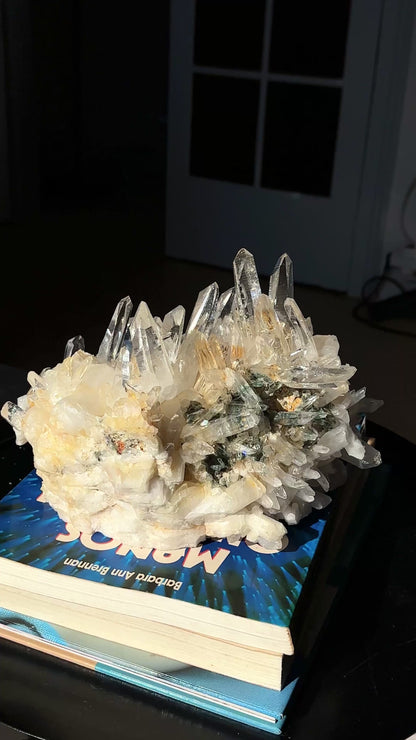 レーザーゴールデンヒーラー レムリアンクォーツクラスター（緑泥石含有）卸売（ロット：LC-435）