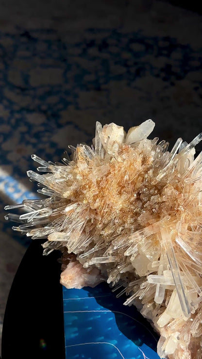 ゴールデンヒーラーニードルレムリアンクォーツクラスター卸売（ロット：LC-245）