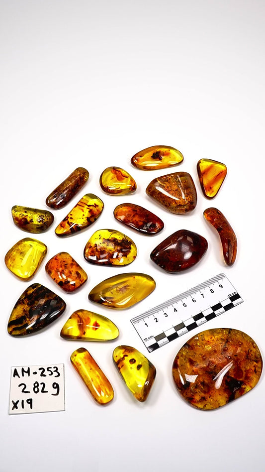 Hand Polished Amber WHOLESALE x19 pieces (AM-253)