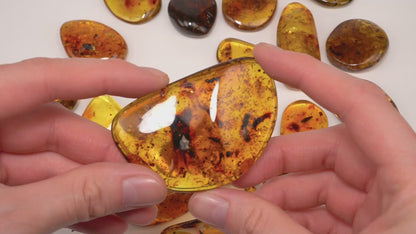 手磨き琥珀卸売（AM-216）