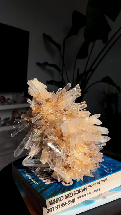Extra rare! Starburst Golden Healer Needle Lemurian Quartz Cluster Collector Specimen with Elestial side (Lot: LC-244) 7570g x1