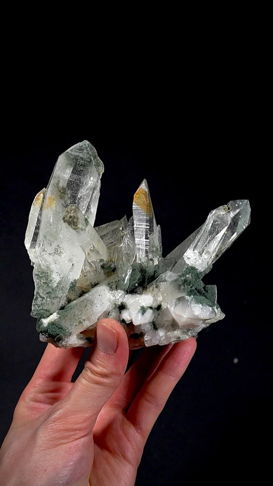 Extra rare Green Muzo Habit Laser Peñas Blancas Lemurian Quartz Cluster (Lot: CO-262)