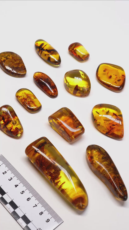 COLOMBIAN AMBER (AM-3016) | WHOLESALE LOT | SMALL SIZE 160g x12