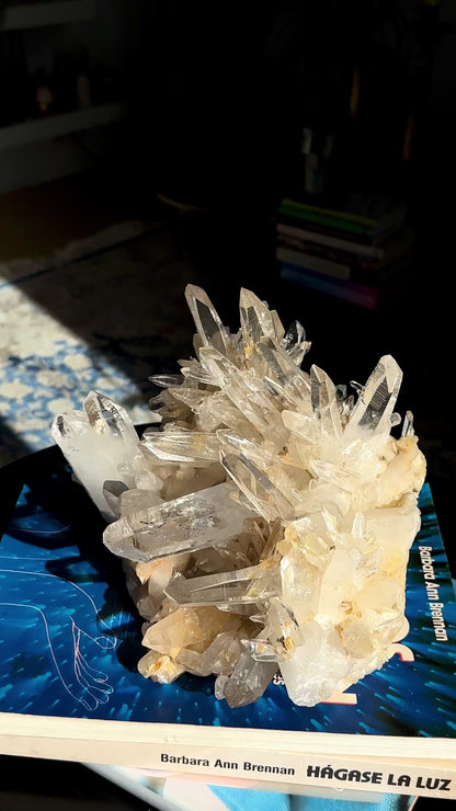 レーザーゴールデンヒーラー レムリアンクォーツクラスター（緑泥石含有）卸売（ロット：LC-435）