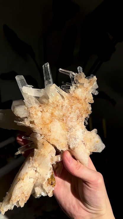 Extra Rare! DNA Needle Starburst Elestial Golden Healer Blue Smoke Lemurian Quartz Cluster Collector Specimen (Lot: LC-248) 1,480g x1