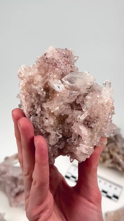 ピンクレムリアンクォーツクラスター（小）（P-1246）