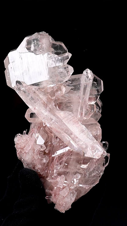 ピンクレムリアンクォーツクラスター AAAコレクター標本（ロット：P-1373）