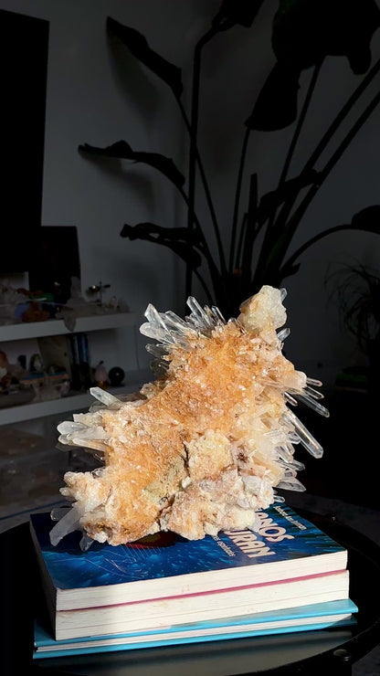 Extra rare! Starburst Golden Healer Needle Lemurian Quartz Cluster Collector Specimen with Elestial side (Lot: LC-244) 7570g x1