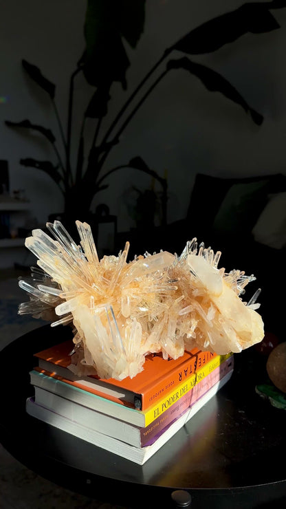 ゴールデンヒーラーニードル レムリアンクォーツクラスター コレクター標本（ロット：LC-241）