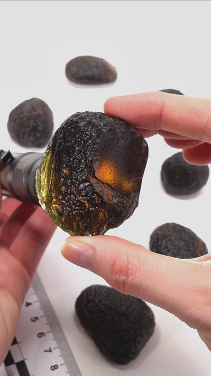 COLOMBIANITE TEKTITE (CT-3015) | WHOLESALE LOT | SMALL SIZE 295g x8