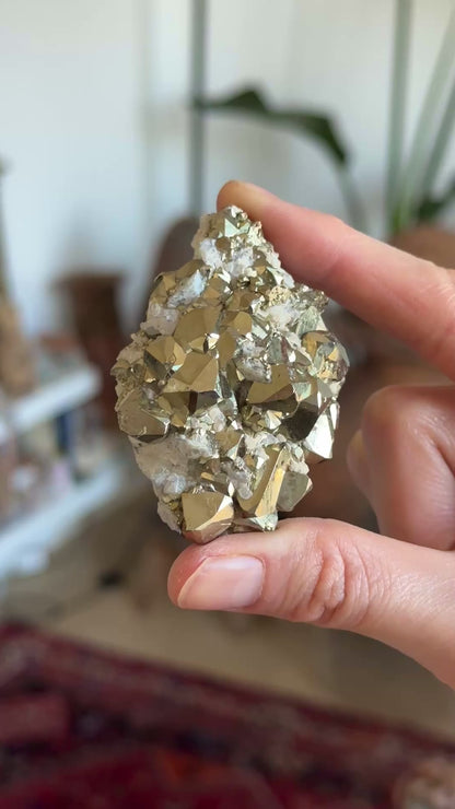 コロンビア、チボール鉱山の黄鉄鉱クラスター（PY-152）