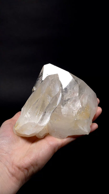 広大な記録保持者でいっぱいのタントリックツイン!! コレクター標本（ロット：CO-278）977g