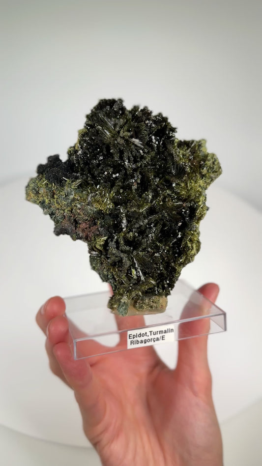 Green Epidote Fan Clusters from Spain Extra high quality specimens WHOLESALE (EP-1)