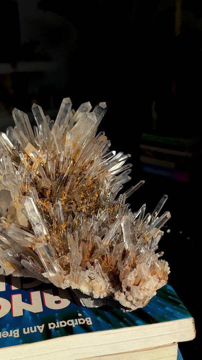 ゴールデンヒーラーニードル レムリアンクォーツクラスター コレクター標本（ロット：LC-250）