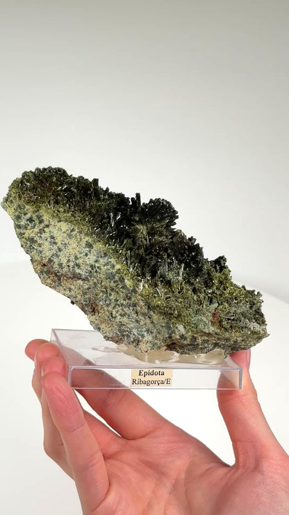Green Epidote Fan Clusters from Spain Extra high quality specimens WHOLESALE (EP-7) 454 g x2