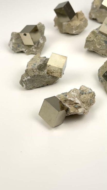 Cubic Pyrite on Matrix (Limestone), Navajun Spain Extra High Quality (PY-129A) 572 g x10