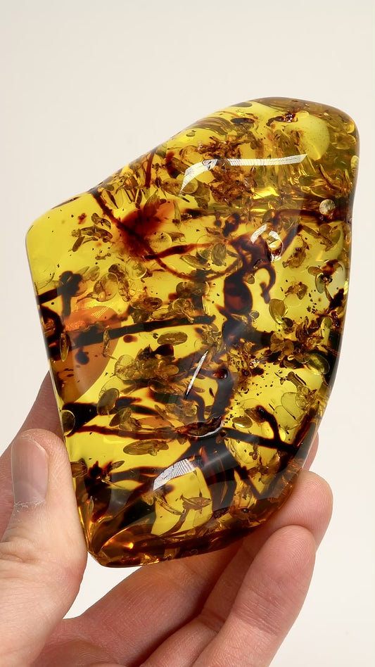 Top Quality Amber (AM-3012) | Wholesale lot | 345g x2 | Medium Size