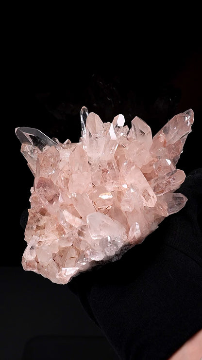 ピンクレムリアンクォーツクラスター AAAコレクター標本（ロット：P-1385）