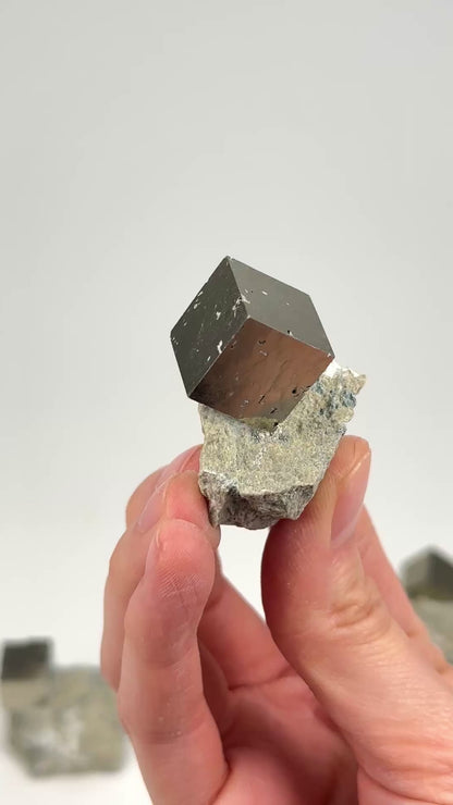 Cubic Pyrite on Matrix (Limestone), Navajun Spain Extra High Quality (PY-129) 522g x9