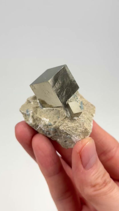 Cubic Pyrite on Matrix (Limestone), Navajun Spain Extra High Quality (PY-129A) 572 g x10