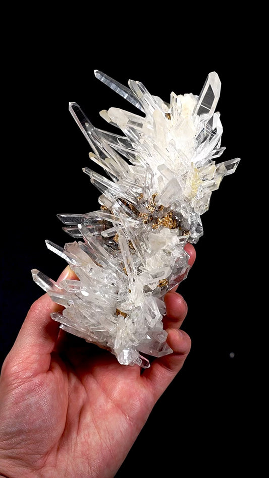 Extra rare Laser Peñas Blancas Lemurian Quartz Cluster (Lot: CO-267)