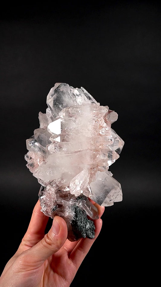 Extra Rare Faden Pink Lemurian Quartz Crystal Cluster with Fuchsite base "Flower Bouquet" (Lot: CO-245)